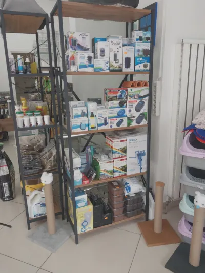 Catfish Petshop&Pet kuaför - Görsel 9