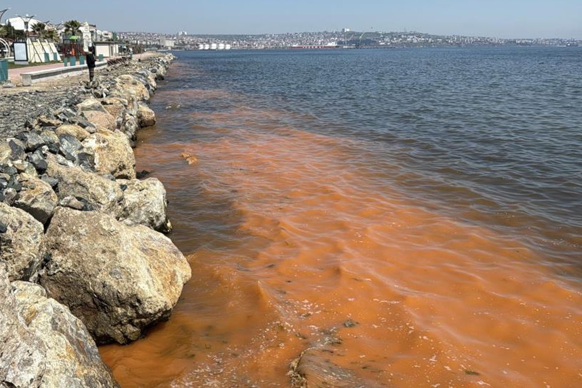 Görüntü Marmara'dan! Deniz turuncu renge büründü