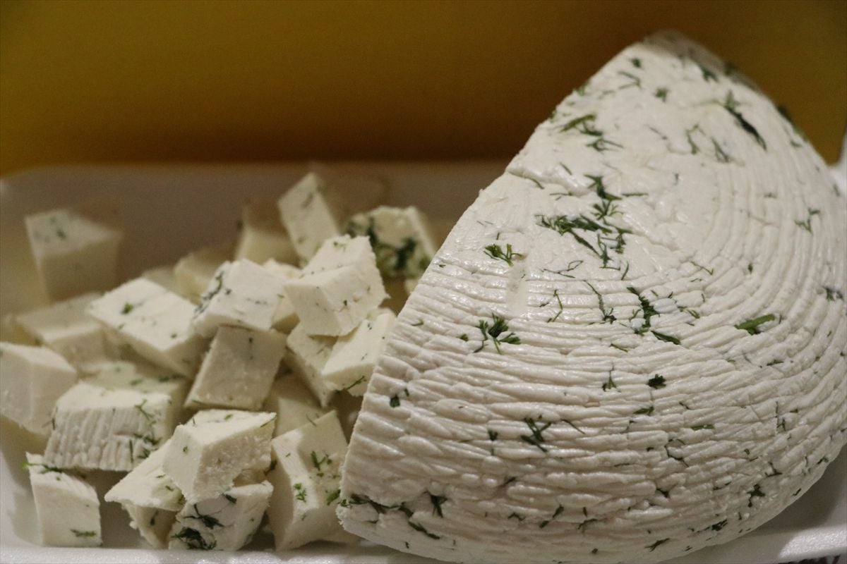 Tekirdağ'da "Keçi Peyniri Tadım Yarışması" düzenlendi