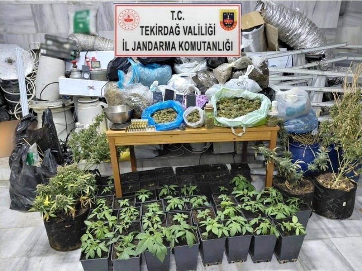 Tekirdağ'da uyuşturucu operasyonu: 1 tutuklama