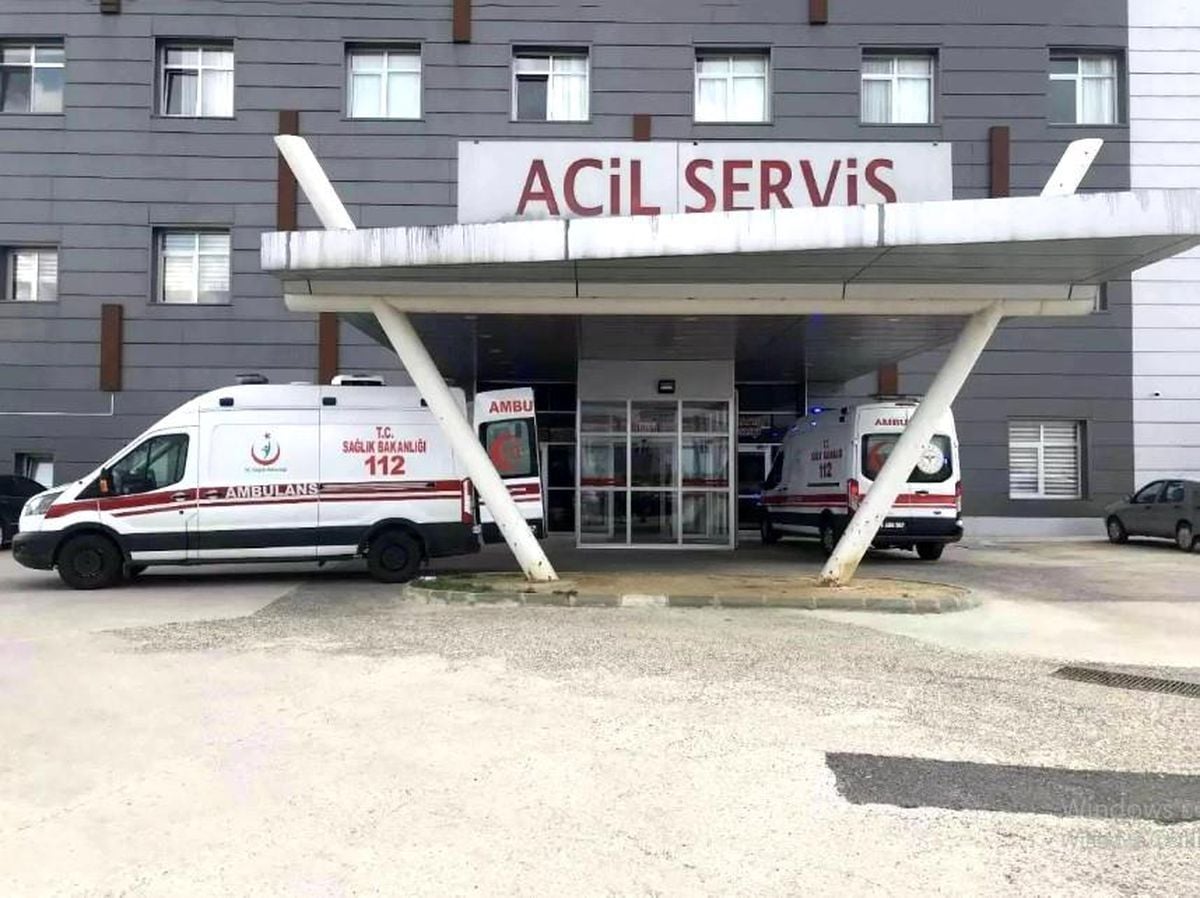 Arı saldırısına uğrayan yaşlı çift hastanelik oldu