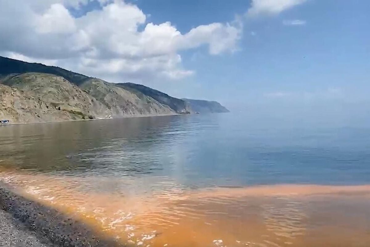 Marmara'da deniz suyundaki renk değişiminin altından planktonlar çıktı