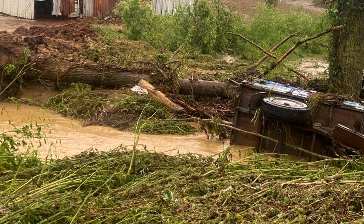 Tekirdağ'da sağanak sonrası 5 ila 6 bin dekarlık alanda hasar oluştu