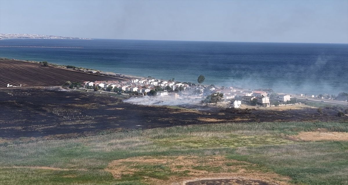 Tekirdağ'da buğday ekili tarlada çıkan yangın söndürüldü