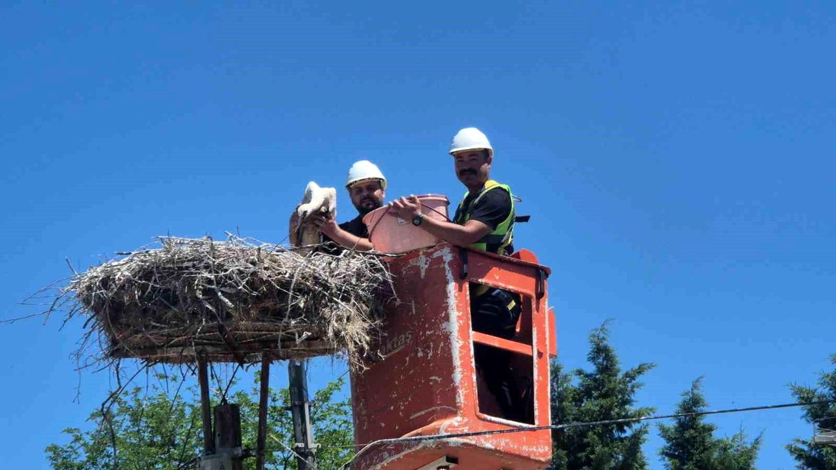 Tekirdağ'da Leylek Festivali