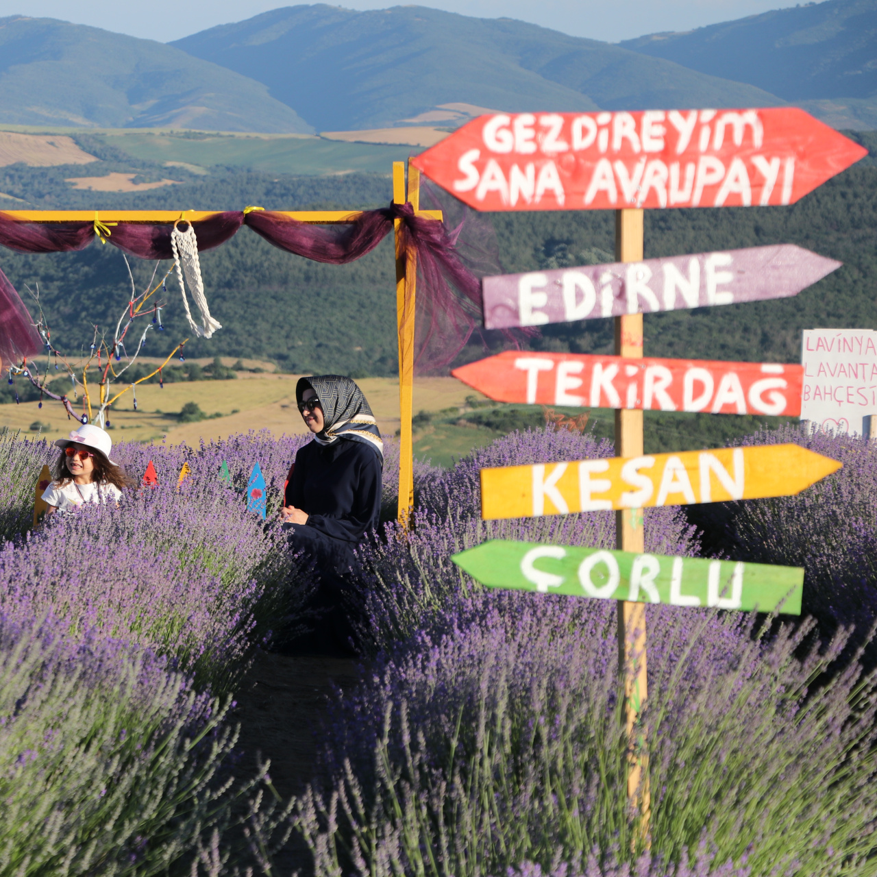 Tekirdağ'ın lavanta bahçeleri ziyaretçilerini ağırlıyor