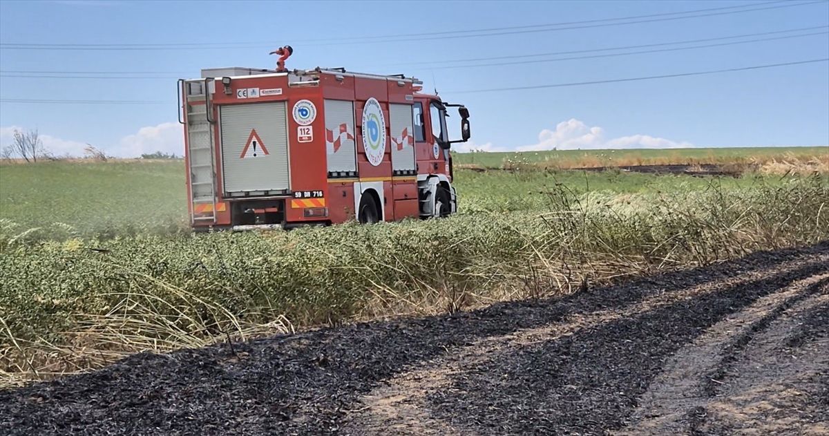 Tekirdağ'da 100 dekar buğday ekili alan yandı