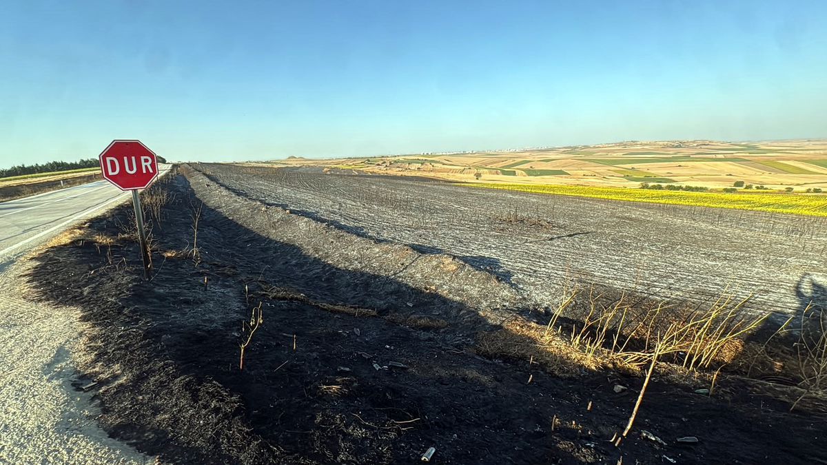 Tekirdağ'da yangında 350 dönüm buğday ekili alan zarar gördü