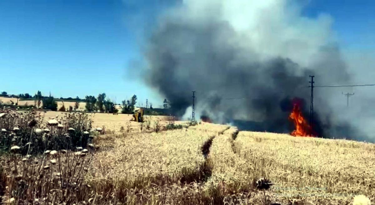 Tekirdağ'da Yangında 50 Dekar Ekili Buğday Zarar Gördü