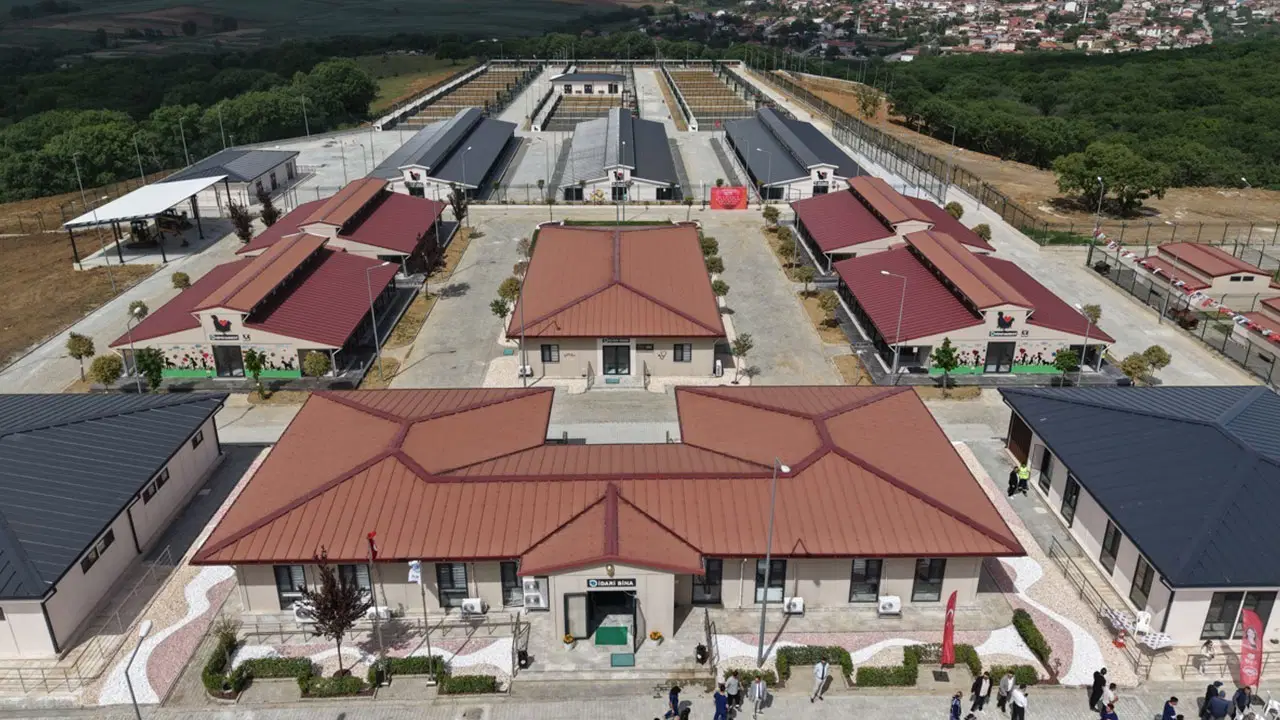 Tekirdağ Büyükşehir Belediyesi'nden sokakta yaşayan can dostlara kapsamlı destek
