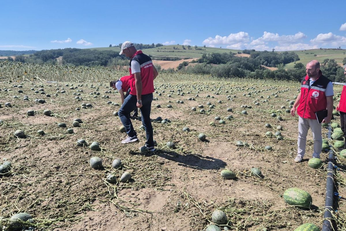 Süper hücre Tekirdağ'ı vurdu! Felaketin boyutu gün ağarınca ortaya çıktı