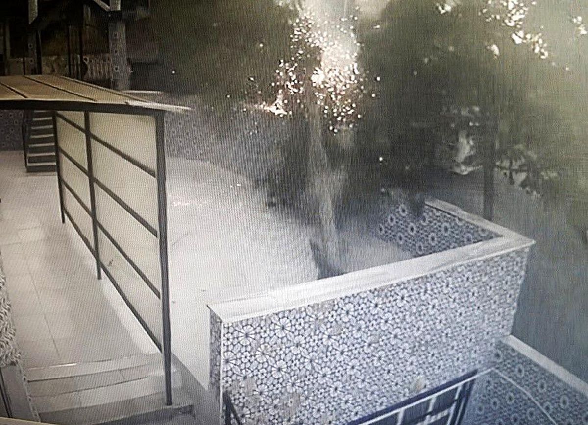 Tekirdağ'da tırın çarptığı elektrik direği cami avlusuna devrildi: O anlar kameraya yansıdı