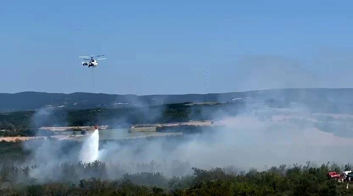 Tekirdağ'da anız yangını ormana sıçradı: Havadan ve karadan müdahaleyle kontrol altına alındı